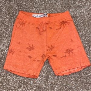 🩳Summer Shorts🩳